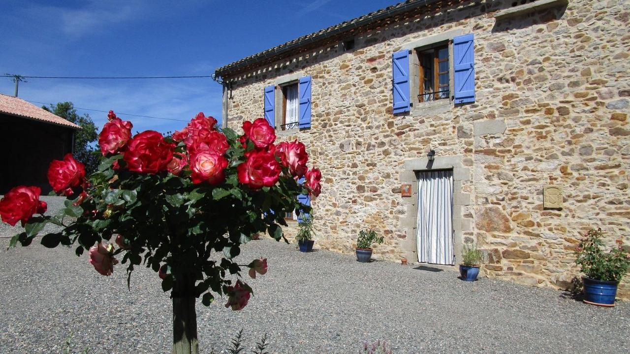 Gites & Chambres D'Hotes Peyrecout Laparrouquial Bagian luar foto
